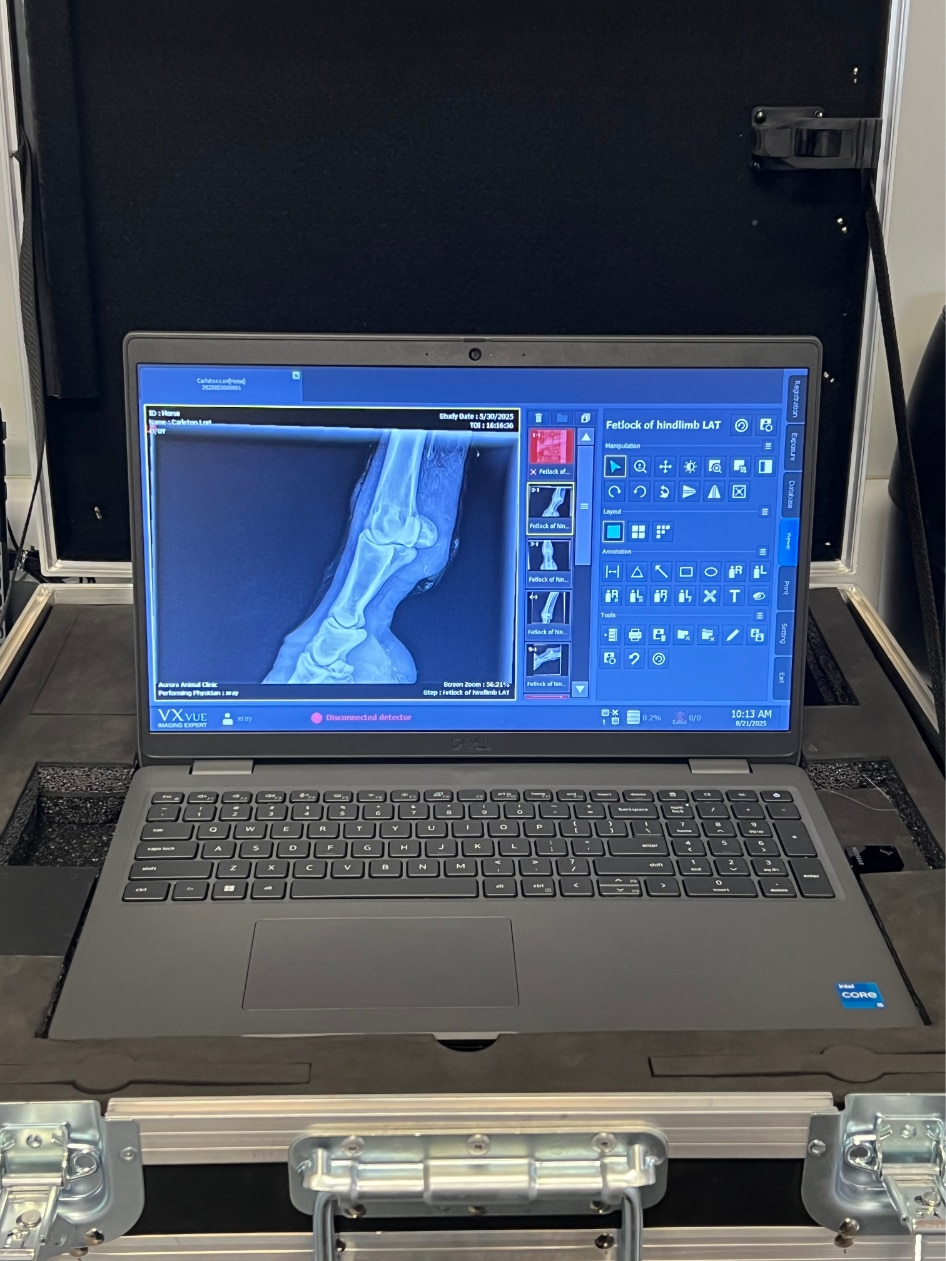 Digital Radiography