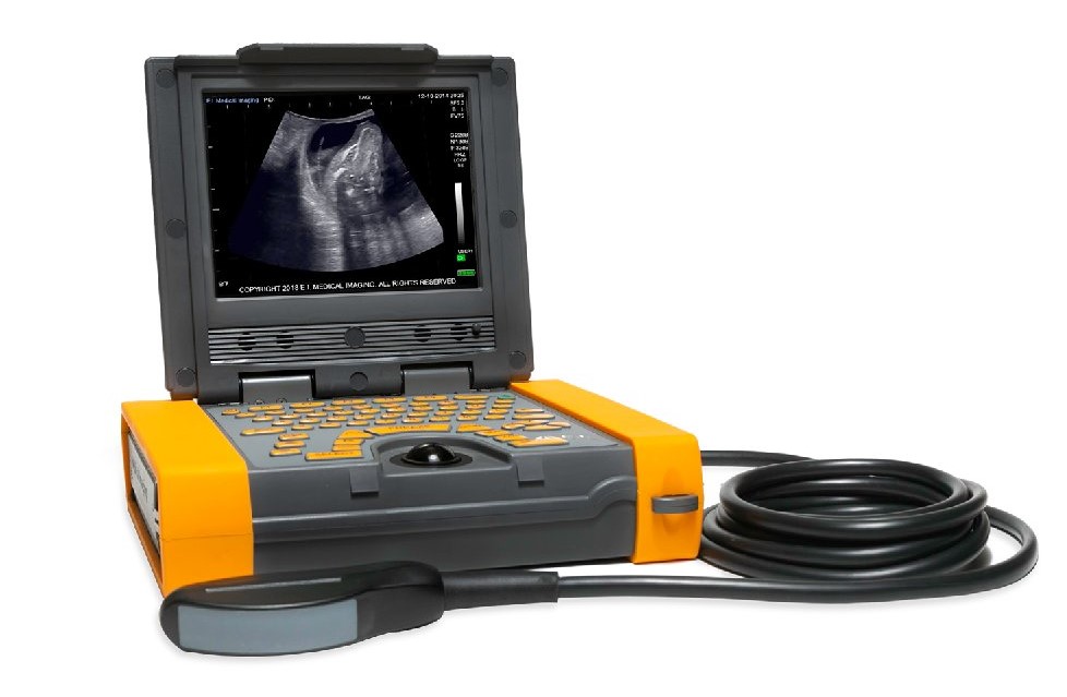 Pregnancy Examinations & Ultrasound
