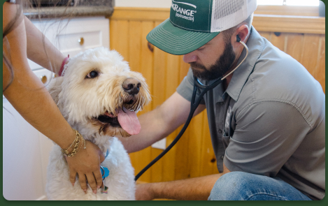 Vaccinations & Routine Exams Walk-In Hours