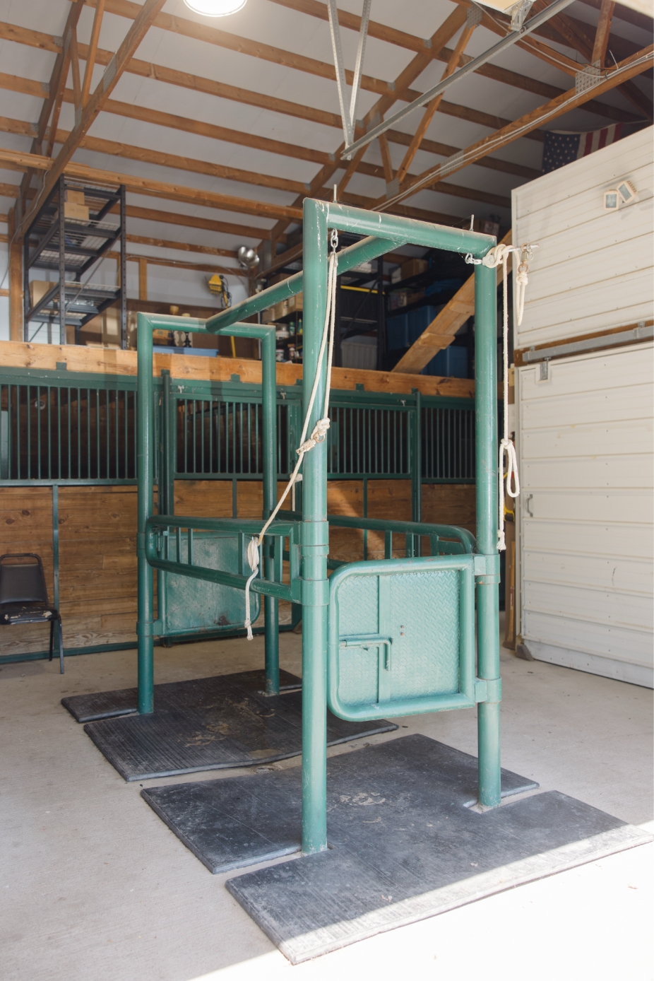 Equine Vaccination Program