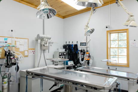 Surgical Services
