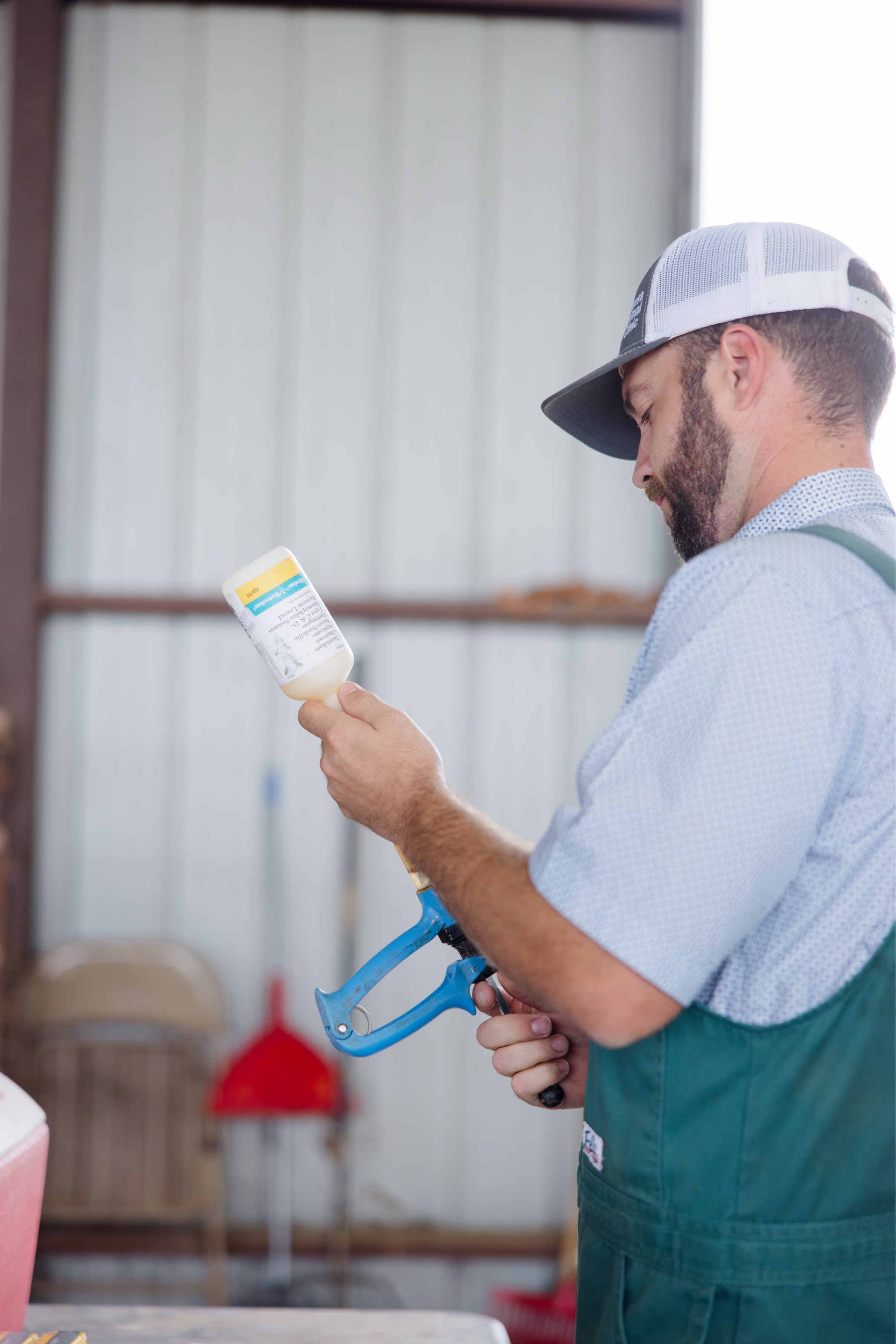 Livestock Veterinary Services in Aurora, MO