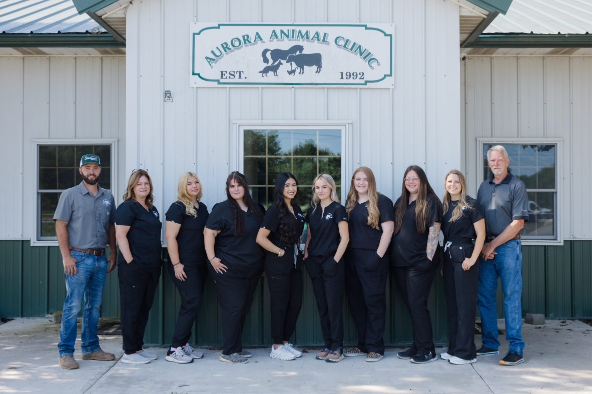 Join Our Team
